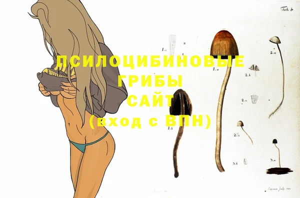 не бодяженный Аркадак