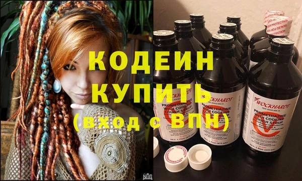 гашик Арсеньев
