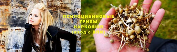 трава Армянск