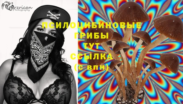 не бодяженный Аркадак